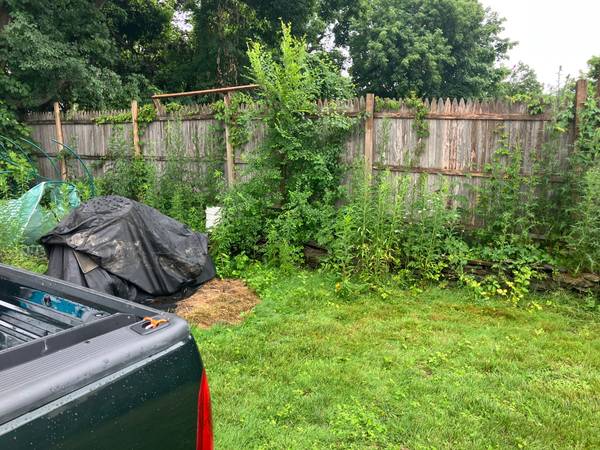 WEED WHACKING 1
