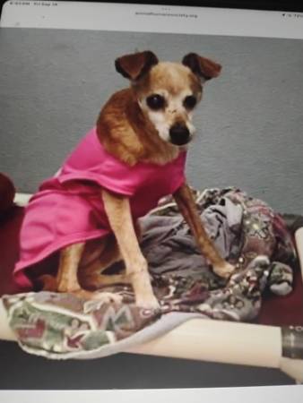 Old lady lost her family 1