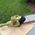Electric Hedge Trimmer    -- 13" cutting bar 2 thumbnail