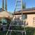 14’ Stokes Orchard Ladder 1 thumbnail