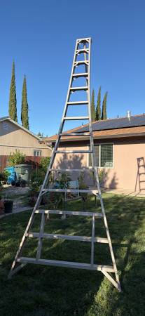 14’ Stokes Orchard Ladder 1