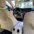 2021 Mercedes-Benz GLC300 4Matic like new and very low mileage 8 thumbnail