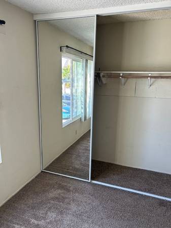Mirror closet door 1