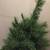 Vintage General Foam Plastics 48” Canadian Pine Christmas Tree, USA!!! 15 thumbnail