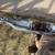 1957 ford thunderbird rear upper and lower bumper. 11 thumbnail