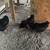 AUSTRALORP TRIO 6 thumbnail