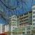 Captivating 2 BR/1 BA with Ceiling Fans & AC! 5 thumbnail