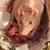 Feeders/ Pets 3 thumbnail