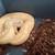 Ball python collection and supplies for sale 4 thumbnail