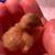 Button Quail (Chinese Painted Quails) Hatching Eggs – Unique Colors 2 thumbnail