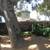 Beautiful, Spacious Craftsman-Style Flat in 1920s Rockridge Fourplex 9 thumbnail