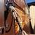 Horse Trailer Concession 1 thumbnail