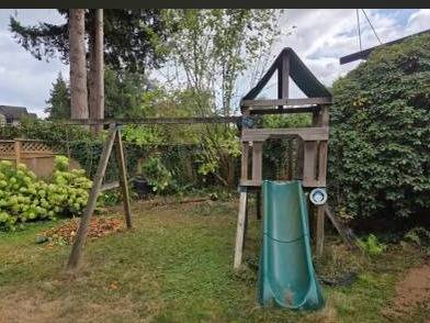 Multi-activity Swing Set 1