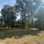 Lot clearing/thinning - Forestry work - Grading - Excavation 2 thumbnail
