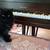 Piano Lessons 5 thumbnail