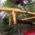 Genuine Danuser Post Hole Digger W/Auger. 2 thumbnail