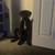 Corso/mastiff puppy 2 thumbnail