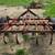 Chisel Plow 4 thumbnail