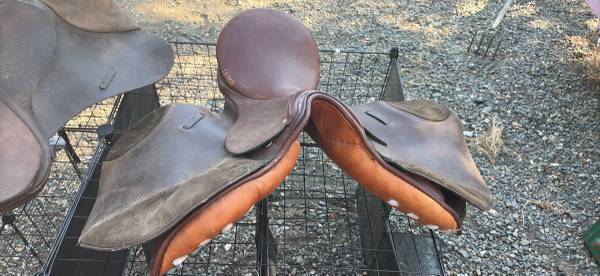 Saddle 1