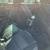 19 Chevy Impala & 14 Buick Lacrosse 8 thumbnail