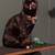 Cats 6 thumbnail