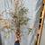 Dried Floral Bundle 3 thumbnail