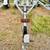 NICE COX GALVANIZED BOAT TRAILER FOR A 14'-17’ BOAT 4 thumbnail