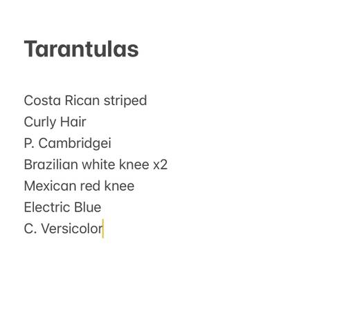 Tarantulas63654750190339120