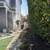 Yard clean up 🏡junk removal 🚛5103288775 demolition cut tree 🌳🌴 4 thumbnail