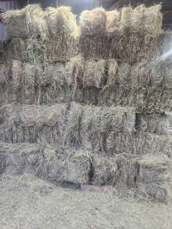 Good quality hay 1