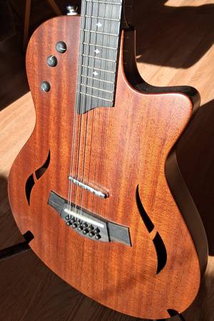 Taylor 12 String Electric T5Z12 1