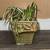 Flower pots  $20.  &. Up 16 thumbnail