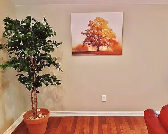 OAK TREE WRAPPED CANVAS AUTUMN FALL COLORS ART PRINT 2 1/2’ x 2 1/2’ 1