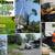 STUMP GRINDING SERVICES NORTH JERSEY 1 thumbnail