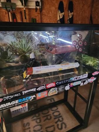 50 gallon aquarium 1