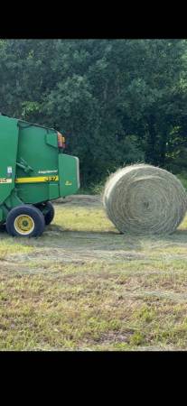 Grass hay 1