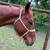 Super nice cool gelding 13 thumbnail