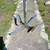 LARGE FOLDING STAINLESS ANCHOR REDUCED!! 1 thumbnail