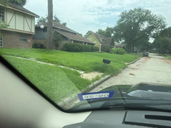 lawn mow 1