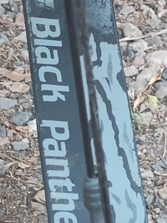 Compound bows with arrows 1