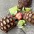 Sulcata Tortoise 1 thumbnail