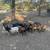 Nigerian dwarf goats 1 thumbnail