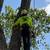 Outdoor Experts LLC, Tree Service, Landscaping, Yard Clean ups & MORE! Lic. & In 2 thumbnail