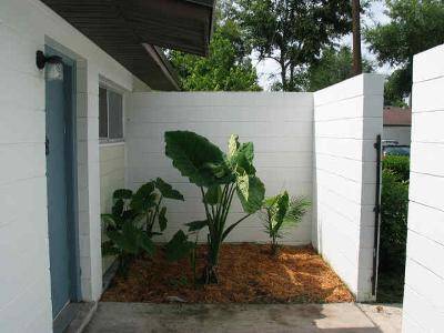 $1,345 / 2br - 820ft2 - Beautiful 2 Bdr /1 Bath Apt in Quiet Complex Close to UF (SW Gainesville)63822864743553120