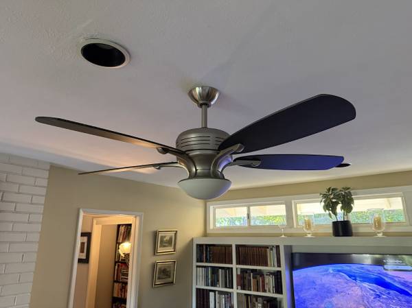 Celing Fan 1