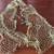 Handmade Fishing Net and 5 Sea Animals 4 thumbnail
