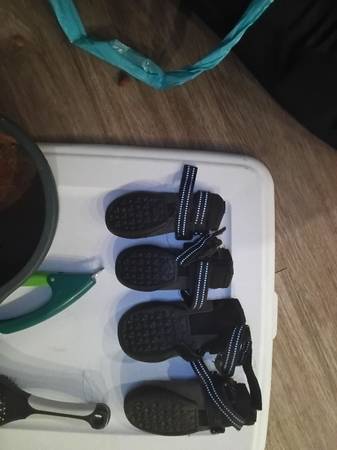 Dog supplies 1