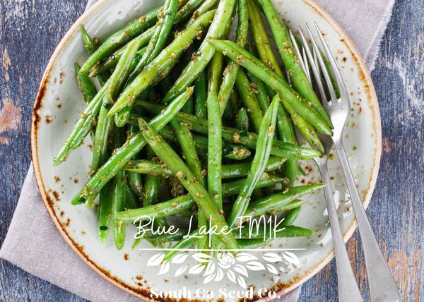 Heirloom Bush Bean Seeds Various Kinds 1