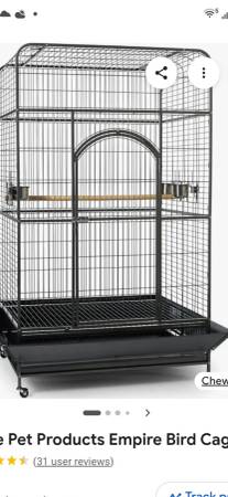 Bird cage 1