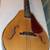 Mandolin 8 string right hand by Antares very nice 7 thumbnail